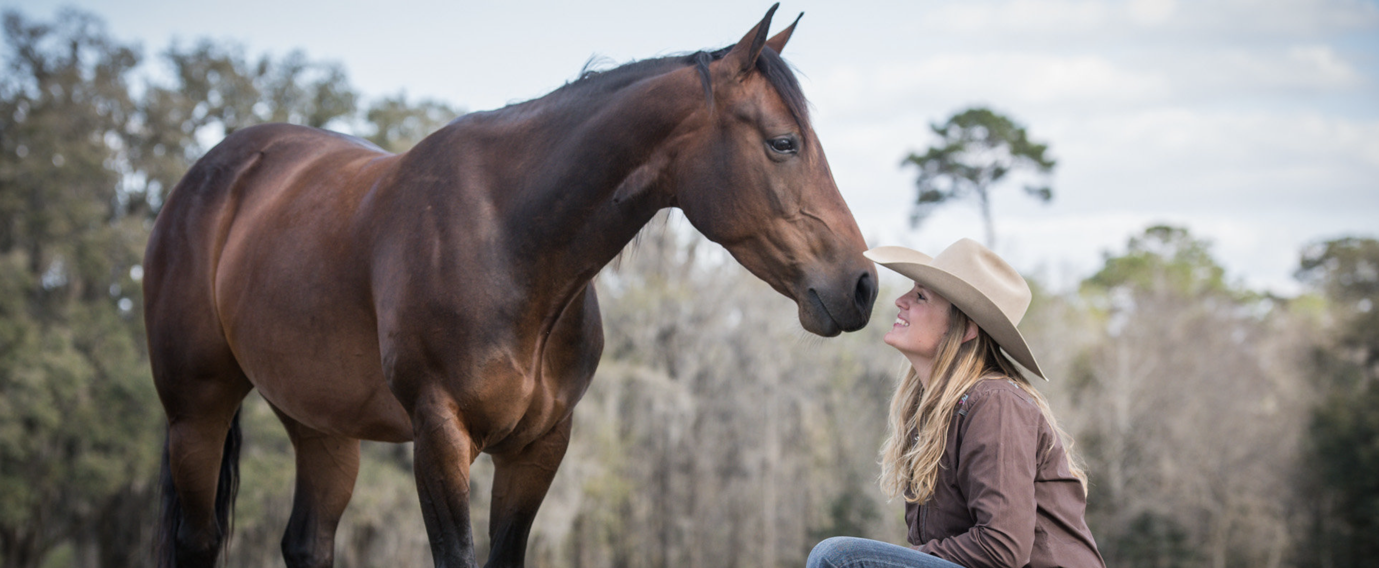 Equine Coach